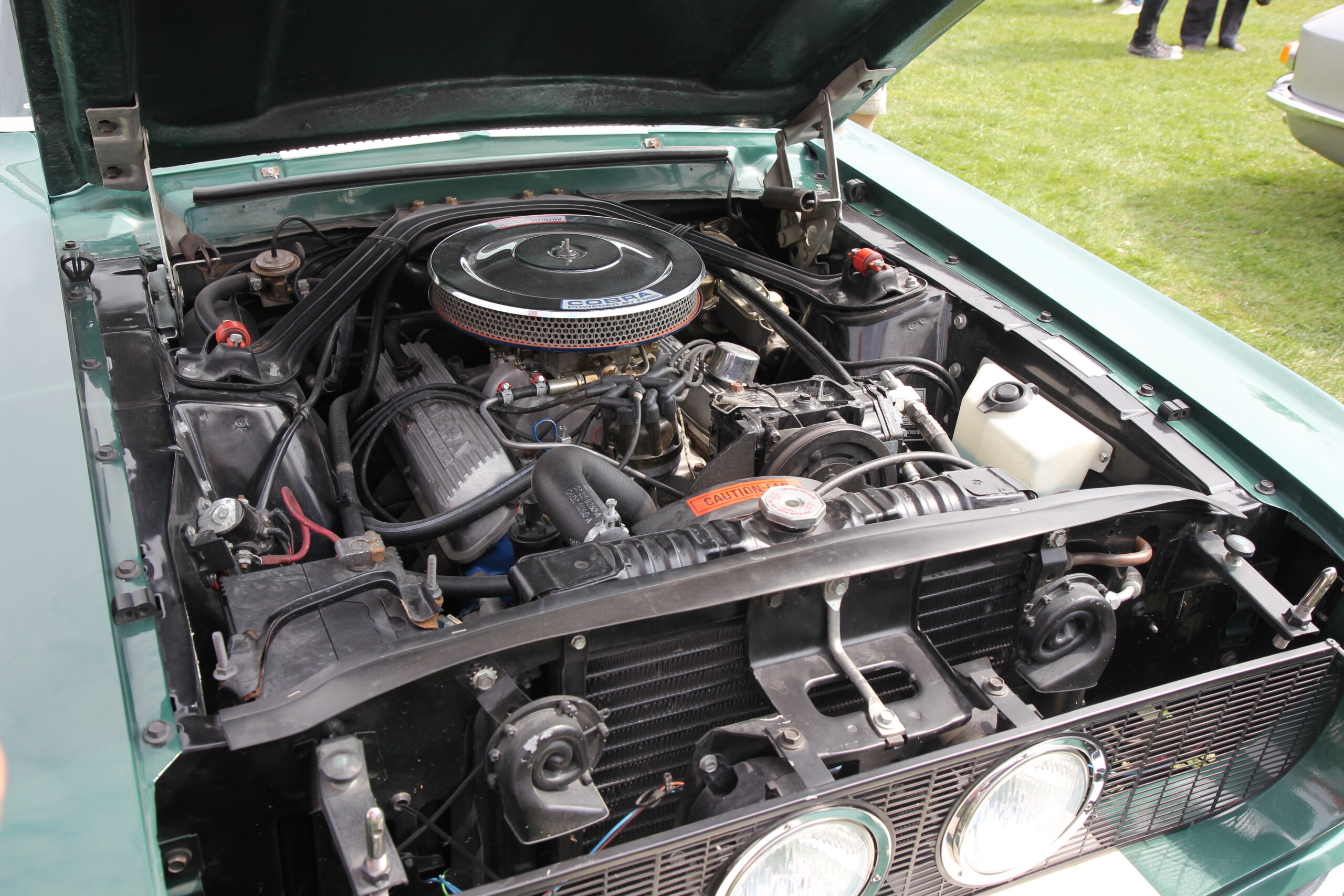 Ford/Shelby 289ci engine 1967