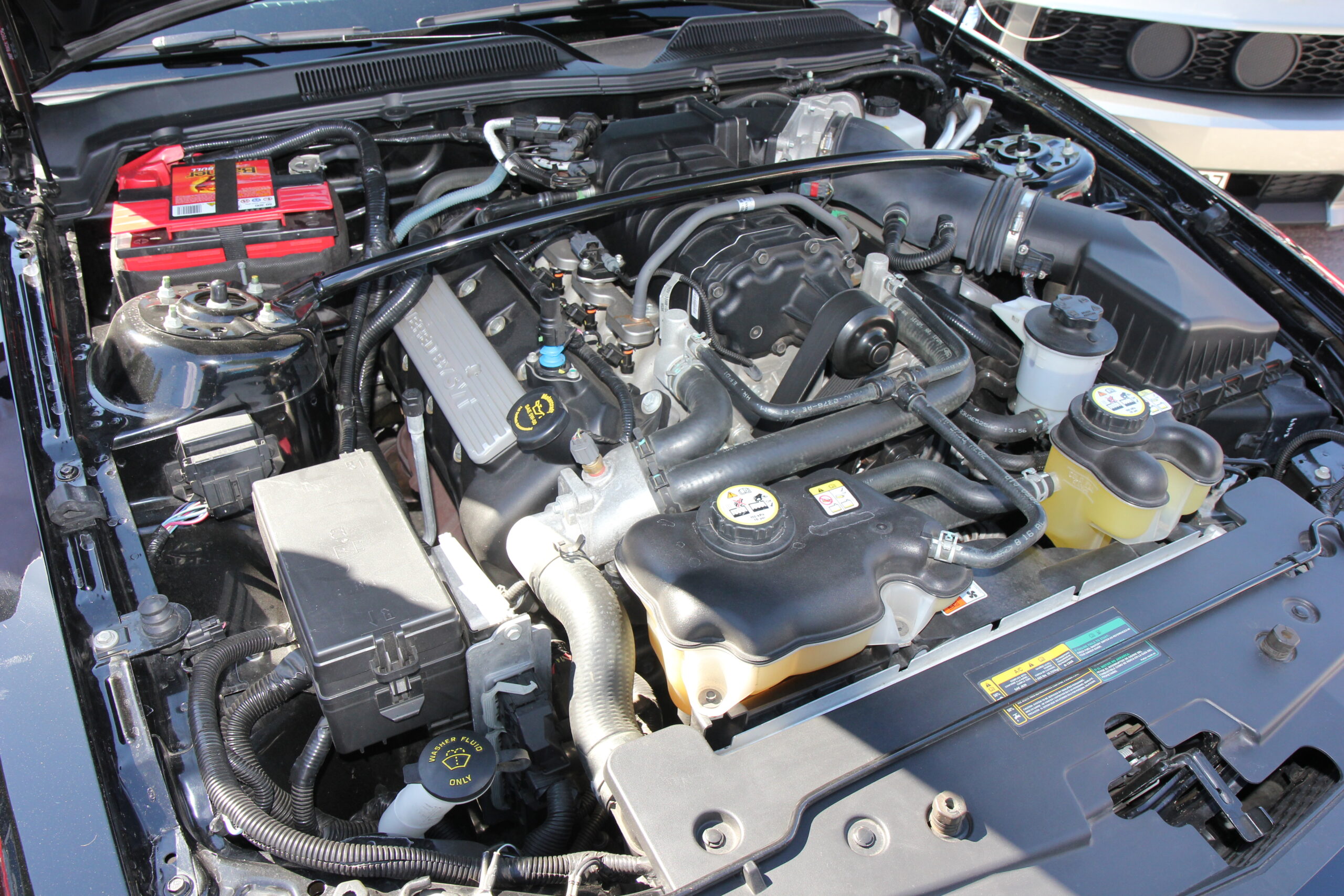Ford/Shelby GT500 5,4L 504hk engine 2008